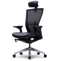DD-RAD100L
